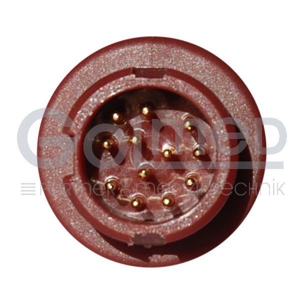 3_ibp-hp-ed-ibp-hp-ed-stecker1-jpg