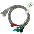 5-adr. LZ-EKG-Kompakteingangskabel, zu Schiller Medilog FD-5+, AR-4+, AR-12+