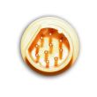 4_ibp-dr1-ed-ibp-dr1-ed-stecker1-jpg
