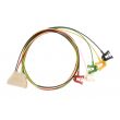 5-adr. Telemetrie-EKG-Kabel mit Klammern, Orig. Philips HP Bild 2