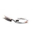 Handheld Pulsoximeter F380 mit Nellcor-Option Bild 3