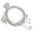 10-adr. EKG-Komplettkabel mit Bananenstecker, zu Siemens etc. Bild 2