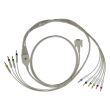 10-adr. EKG-Komplettkabel mit Bananenstecker, zu Schiller etc. Bild 2