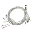 10-adr. EKG-Komplettkabel mit Bananenstecker, zu Bosch & Cardioline Bild 2