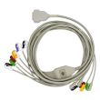 10-adr. EKG-Komplettkabel mit Klammern, zu GE Hellige Bild 2